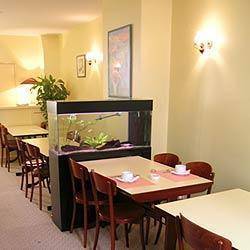 Abricotel, Paris